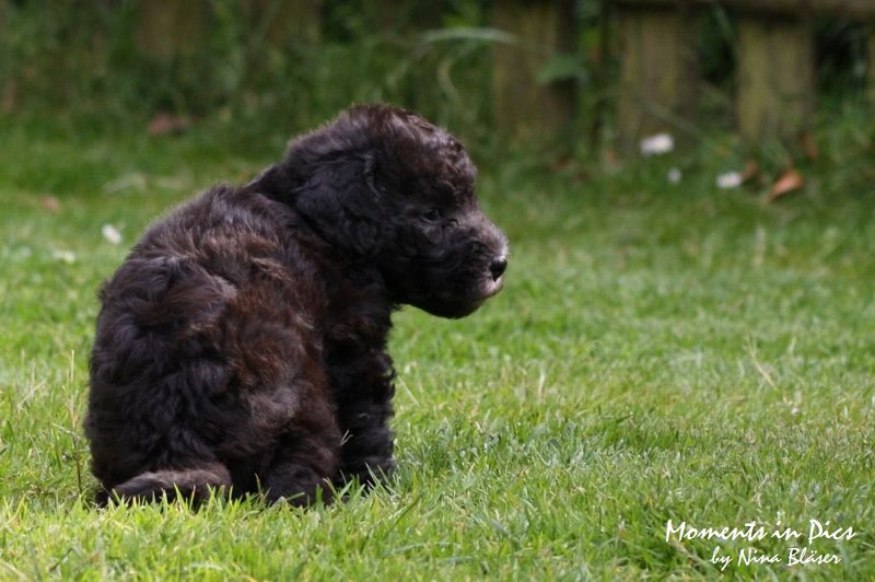 Arc-en-ciel Antares 2009-06-17 (22).JPG